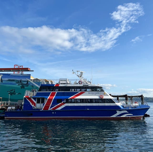 seattle-half-day-wildlife-and-whale-watching-cruise