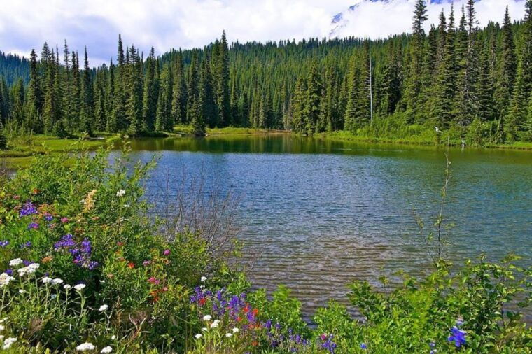 seattle-mount-rainier-park-all-inclusive-small-group-tour
