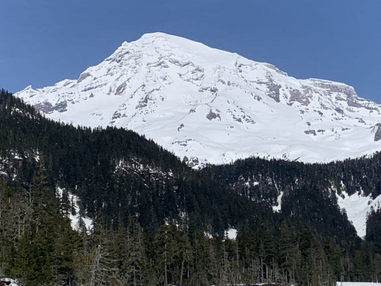 seattle-mt-rainier-hiking-w-waterfalls-glaciers-trees