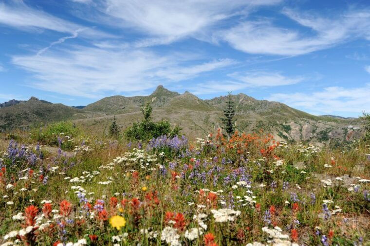 seattle-mt-st-helens-national-monument-small-group-tour