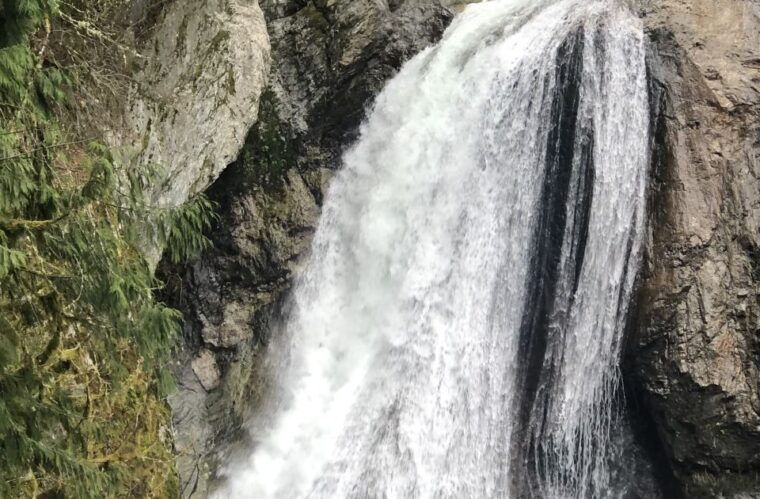 seattle-snoqualmie-falls-and-twin-falls-guided-tour