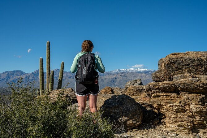 self-guided-driving-audio-tour-of-saguaro-national-park