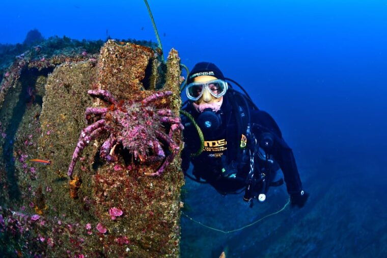 sesimbra-scuba-diving-experience-for-beginners