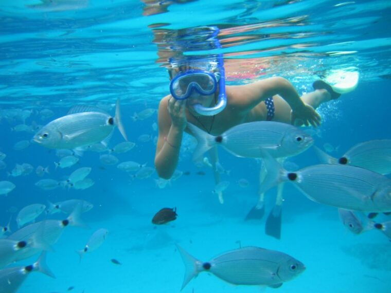 sespalmador-and-formentera-snorkeling-trip-by-rib-boat