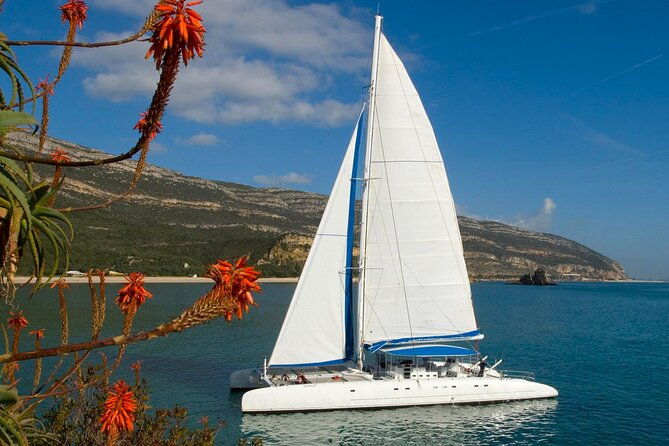 setubal-private-tour-including-dolphin-watching