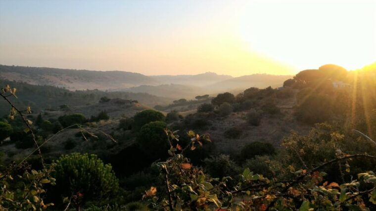setubal-romantic-picnic-sunset-wine-experience