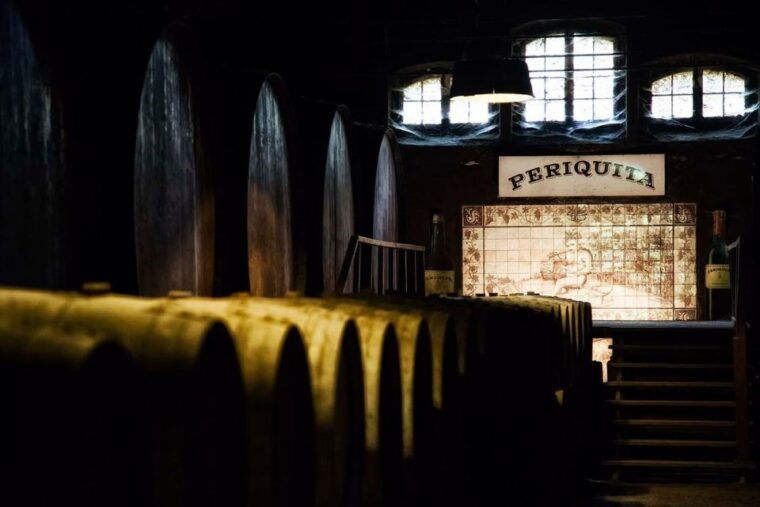 setubal-wine-tour-discover-the-moscatel-wine
