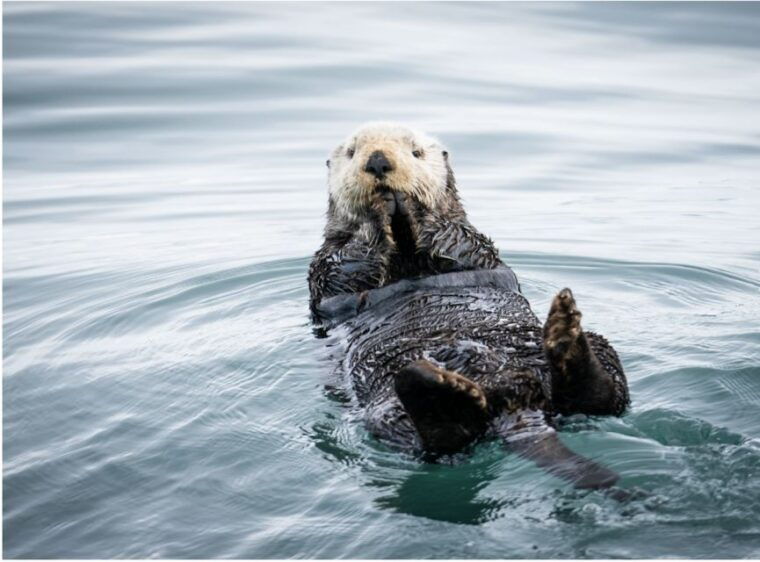 seward-kenai-fjords-national-park-catamaran-cruise-w-lunch