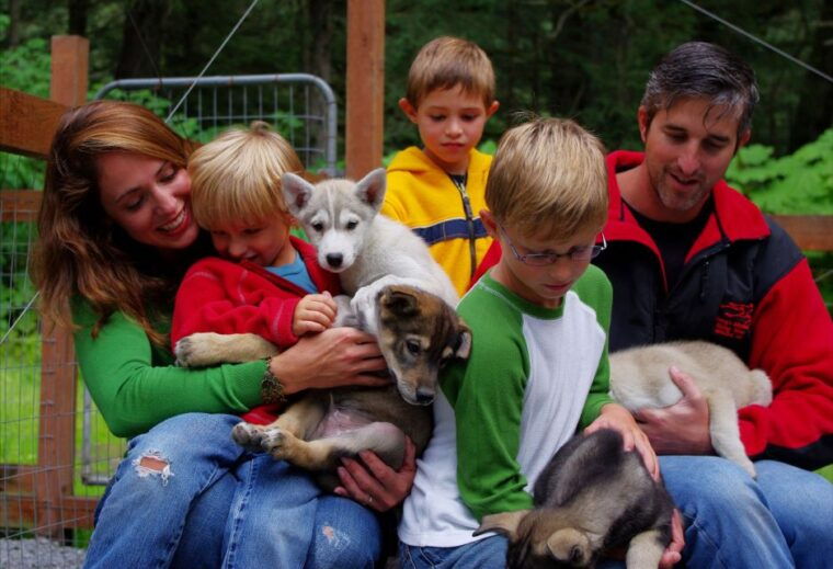 seward-summer-dog-sled-ride-and-seavey-estate-tour