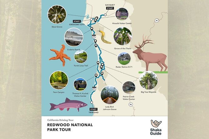 shaka-guide-redwood-national-park-audio-tour-guide