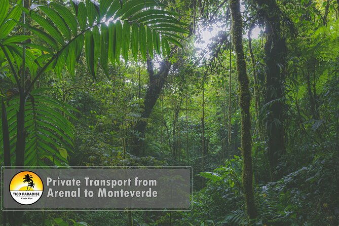 shared-shuttle-manuel-antonio-to-monteverde