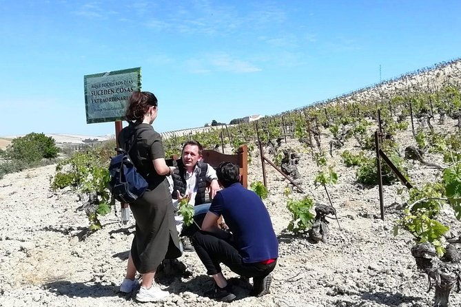 sherry-experience-in-the-vineyard