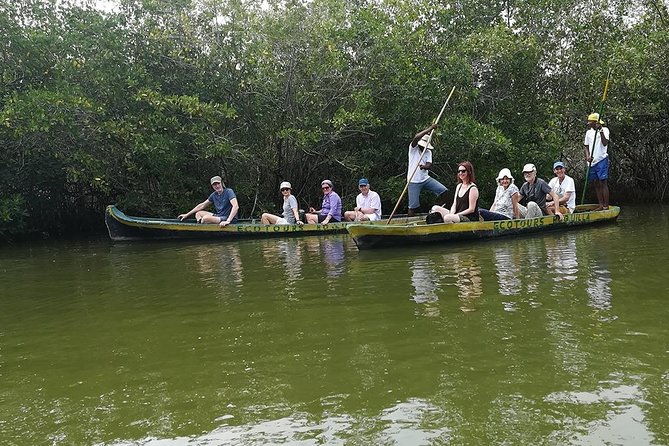 shore-mangrove-tour-lunch-horse-riding-fishing-classes
