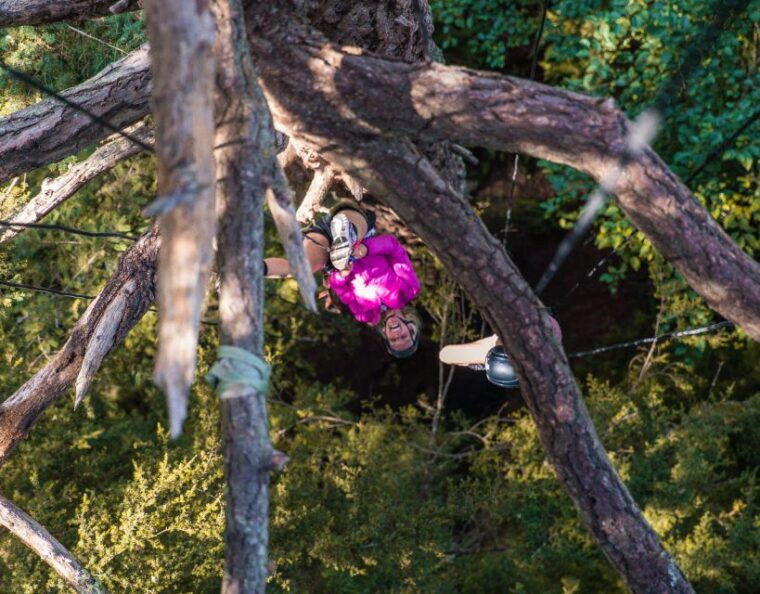 silver-falls-old-growth-tree-climbing-adventure
