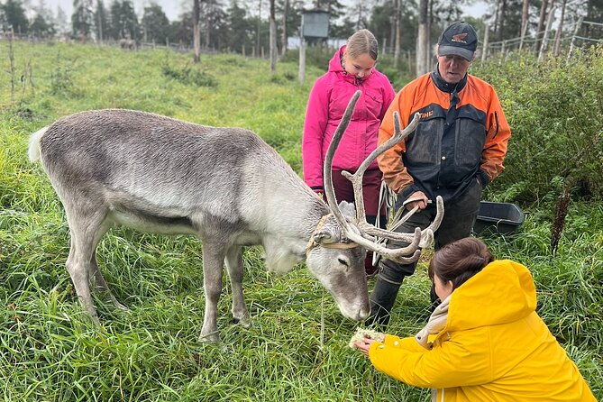 small-group-fishing-lunch-reindeer-farm-visit-in-the-wilderness
