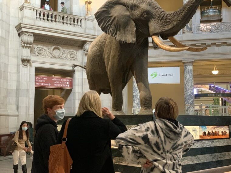 smithsonian-national-museum-of-natural-history-guided-tour