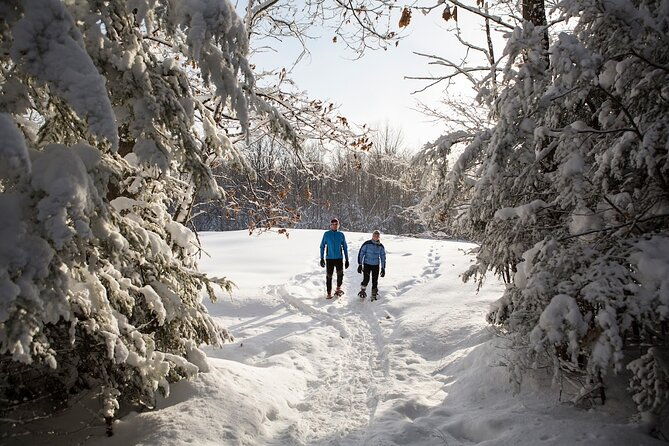 snowshoe-tour-in-the-lake-tahoe-mountains