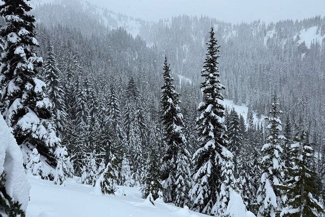 snowshoeing-at-crystal-mountain-by-mount-rainier