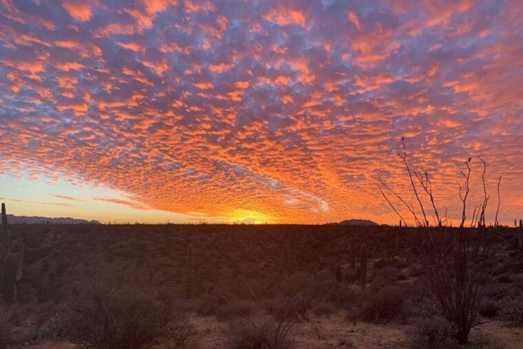 sonoran-desert-sunset-jeep-tour-with-tonto-national-forest