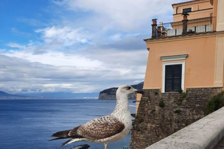 sorrento-walking-in-the-grand-tour-with-stunning-landscapes