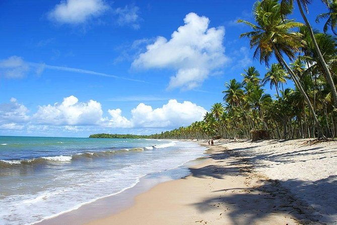 south-of-bahia-tour-private-multi-day-tour