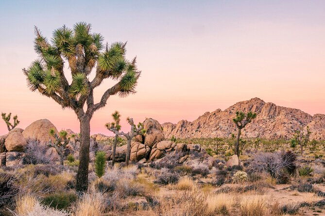 southwest-usa-discovery-ultimate-self-guided-road-trip-bundle