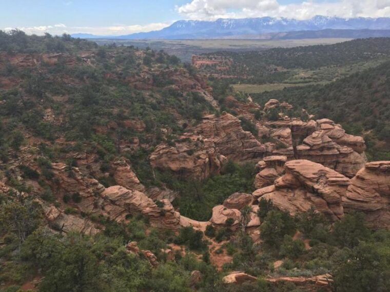 springdale-half-day-canyoneering-experience