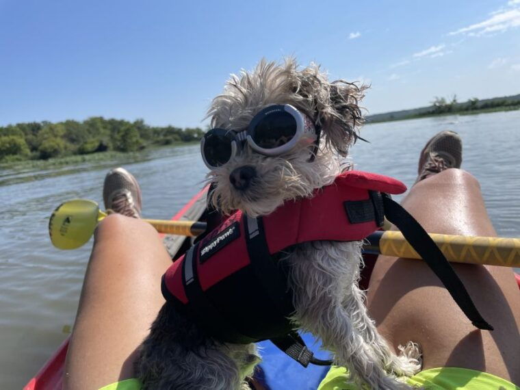 starved-rock-state-park-guided-kayaking-tour
