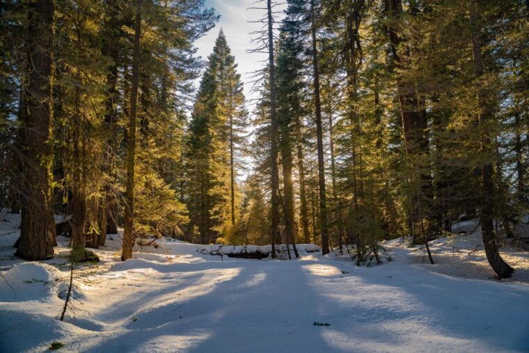 sunset-snowshoe-guided-hike