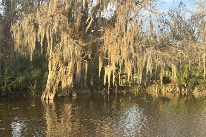 swamp-eco-cruise-and-walking-tour