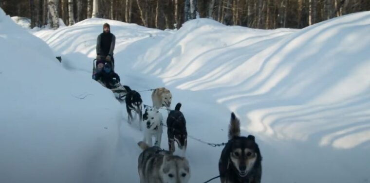 talkeetna-alaskan-winter-dog-sledding-experience