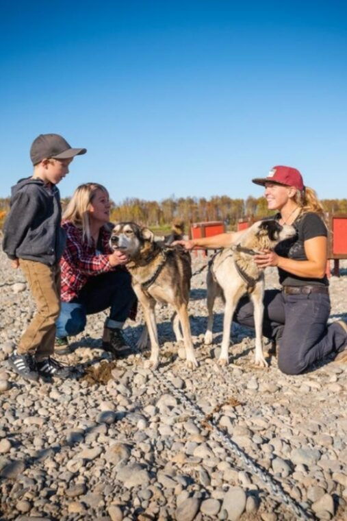 talkeetna-mushing-experience-with-iditarod-champion-dogs