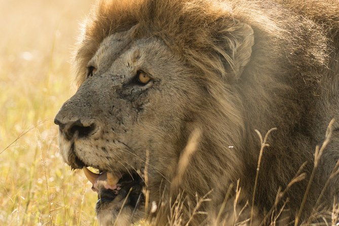tanzania-safari-1-day-arusha-national-park-visit