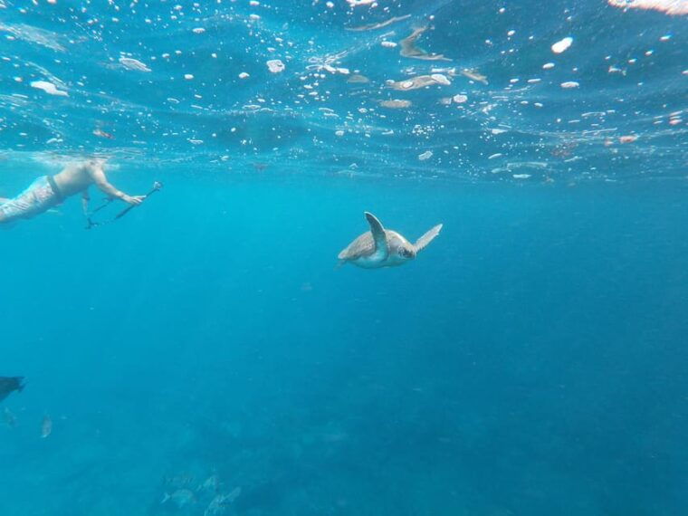 tenerife-double-kayak-rental-for-1-5-hours-in-palm-mar