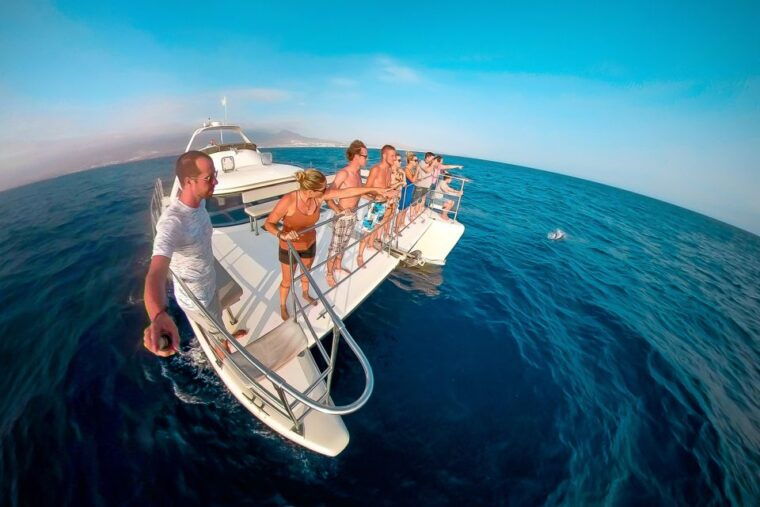 tenerife-marine-life-tour-with-transfer-buffet-and-drinks