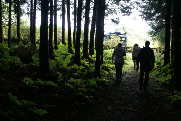 terceira-island-whale-watching-and-jeep-tour
