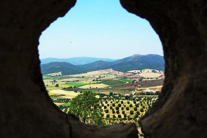 the-place-of-dreams-the-tarot-garden-w-wine-tasting
