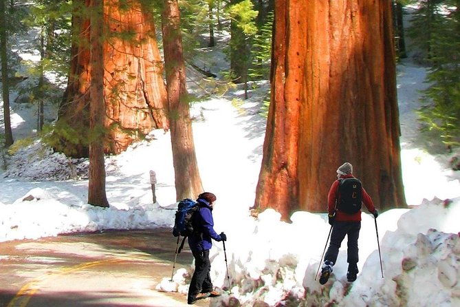 the-ultimate-yosemite-and-lake-tahoe-5-day-bucket-list-experience