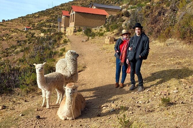 titicaca-lake-sun-island-full-day-english-speaking-guide