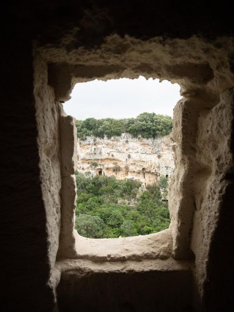 tour-among-the-temples-of-oil-and-the-patriarch-olive-trees