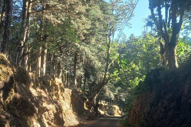 travel-through-the-mountains-of-heredia-and-alajuela