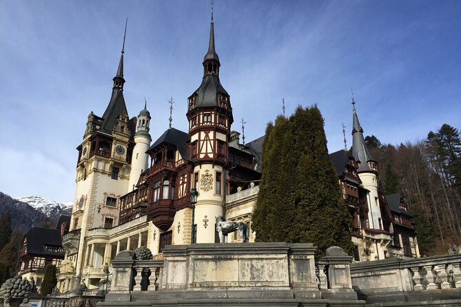 uncover-transylvania-private-2-day-tour-bears-medieval-wonders
