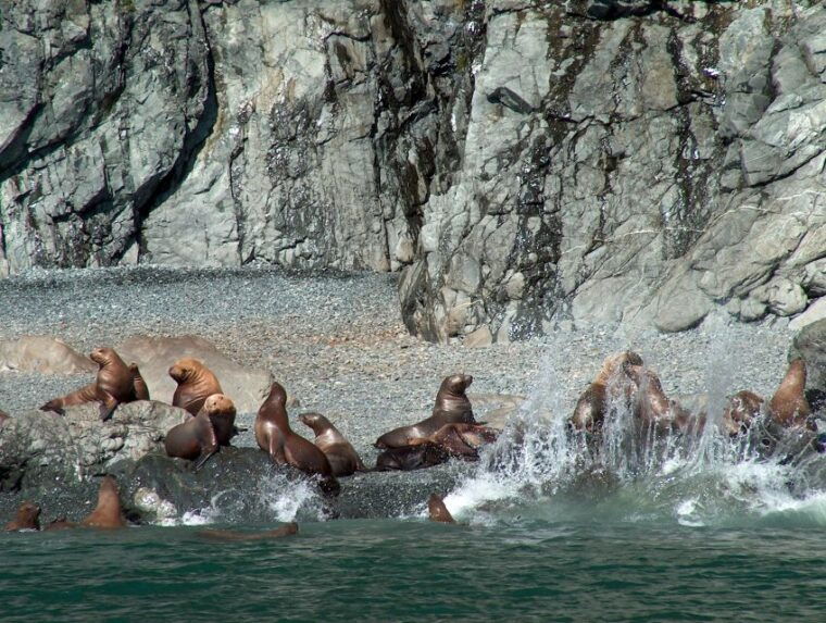 valdez-6-hour-columbia-glacier-cruise