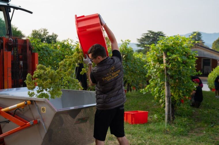 valdobbiadene-prosecco-tasting-experience