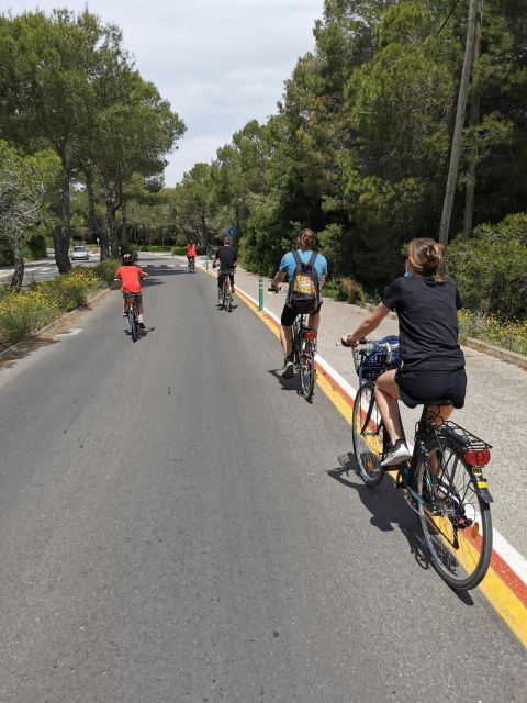 valencia-albufera-natural-park-bike-and-boat-tour