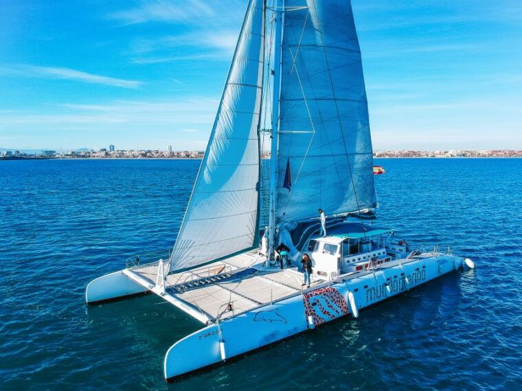 valencia-catamaran-cruise-with-sunset-option