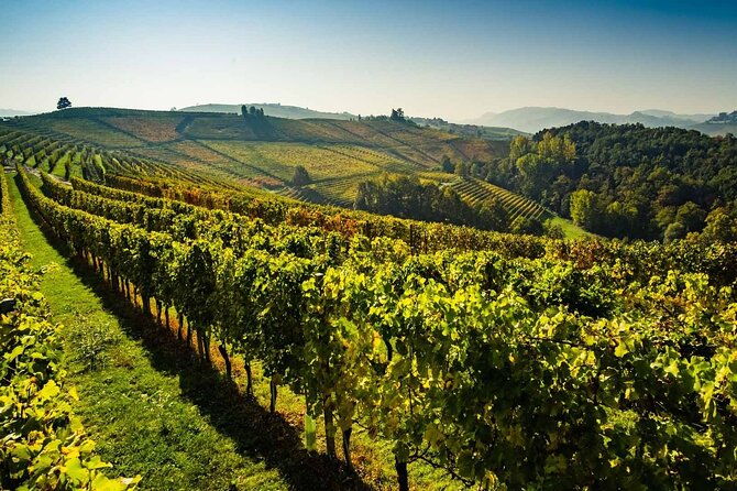 valpolicella-food-wine-nature-wonders-private-tour