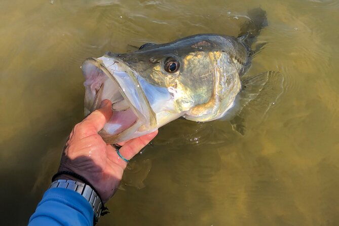 vero-beach-inshore-fishing-guide-service