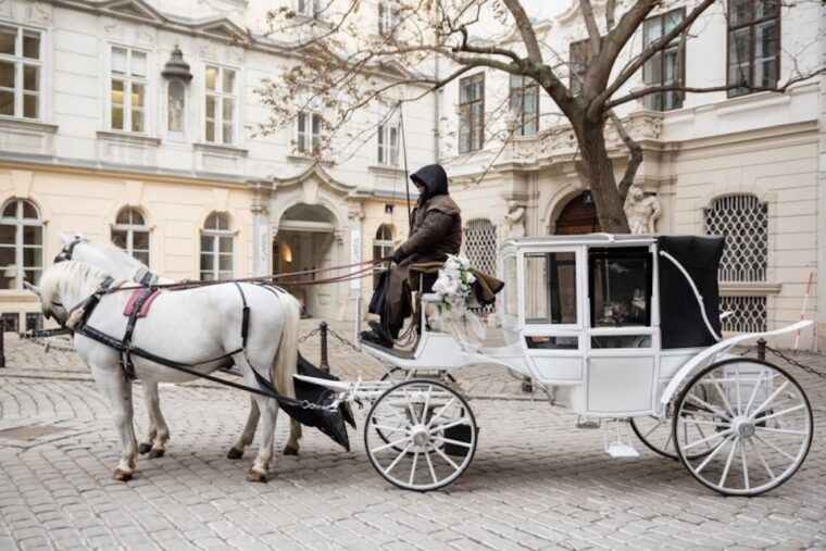 vienna-culinary-horse-drawn-carriage-experience