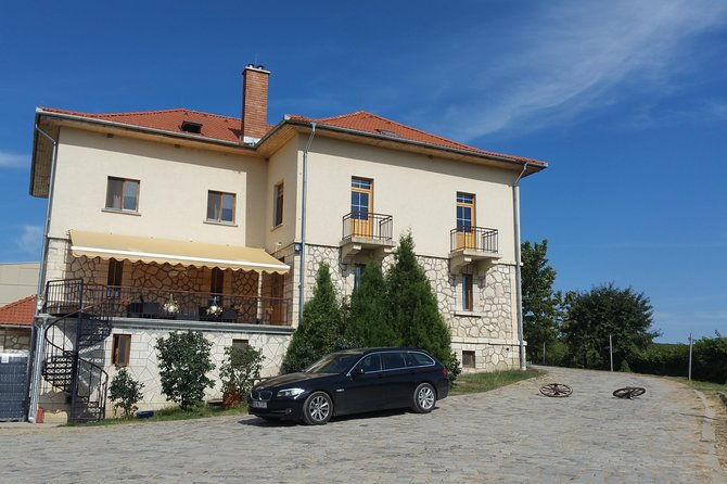 vineyards-and-wine-tasting-experience